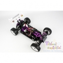 Buggy 4 x 4 Offroad XSTR V-2010; scara 1:10